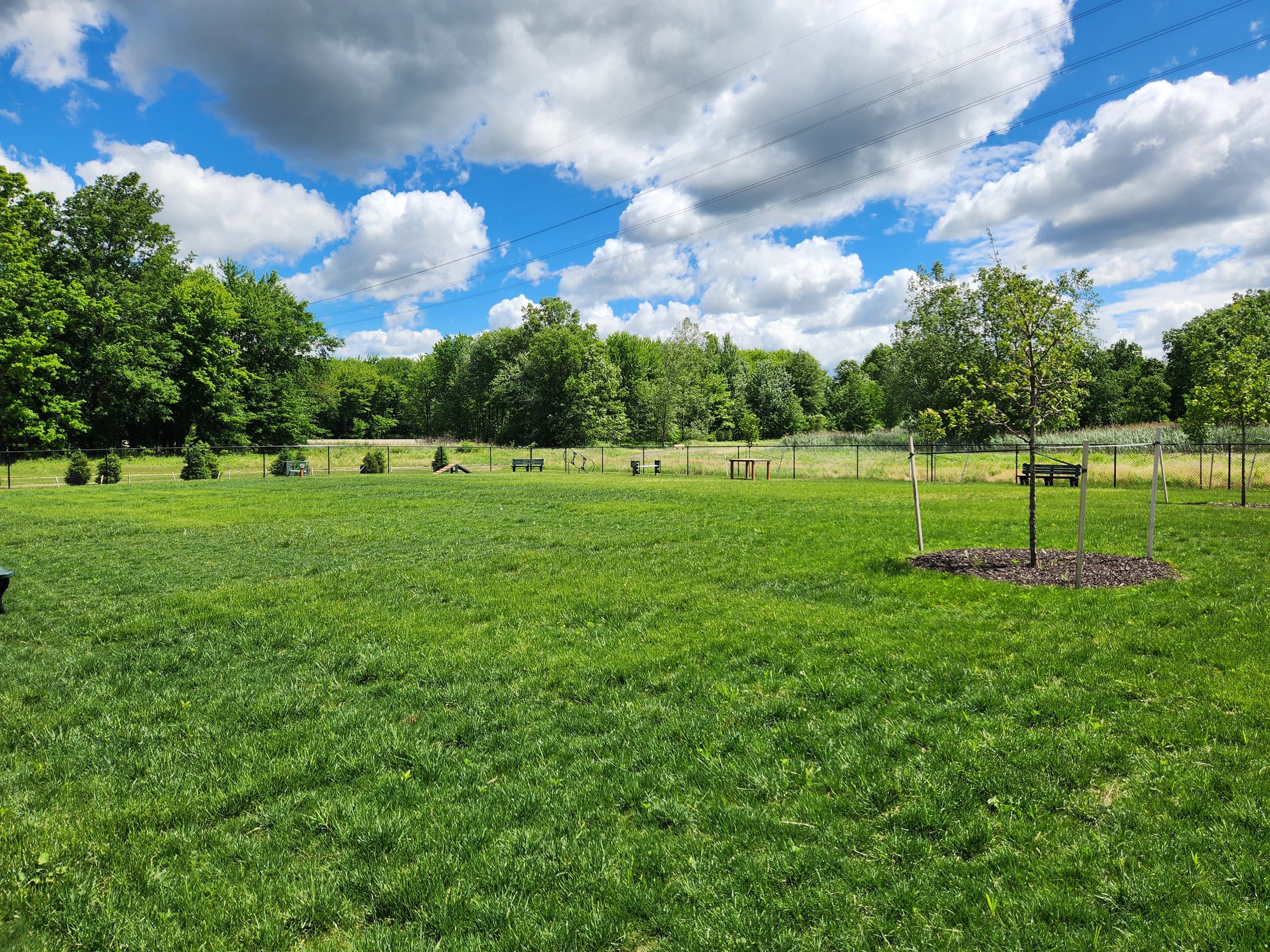 Photo of  fenced in area at dog park